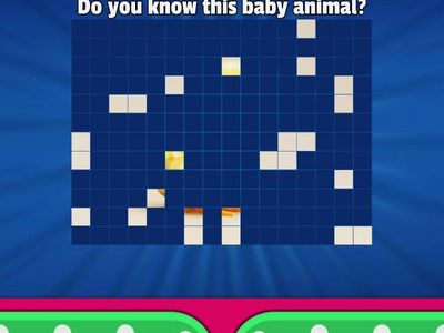 Bugs Team 2 Unit 2 Baby Animals Picture Guessing