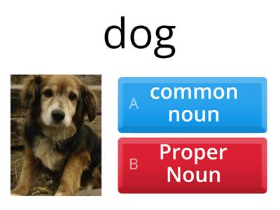 Common or Proper Noun Quiz