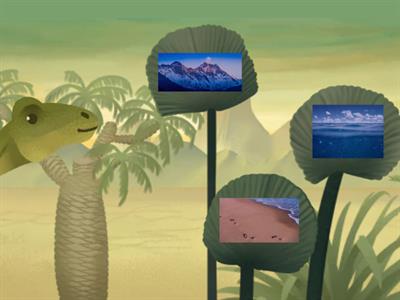 Under the Sea Challenge - Sea Animals