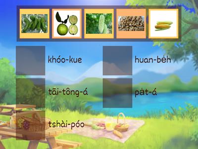 閩南語-台羅蔬菜