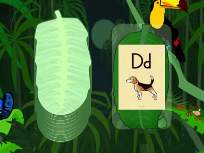 Sound Cards Week 12 Fundations