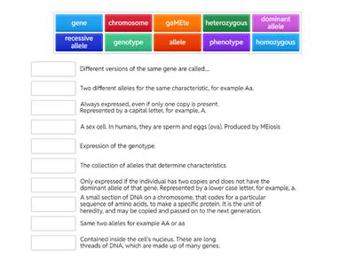 Match up Genetic inheritance terminology - definition given
