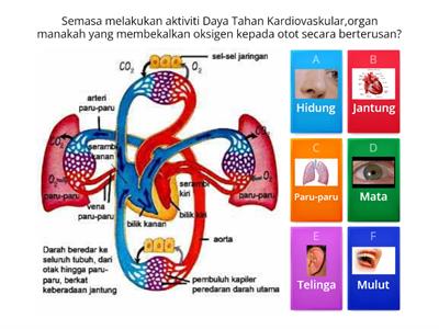 Pendidikan Jasmani Ting 1