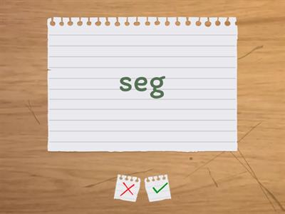 Nonsense Words EOY STUDY GUIDE 