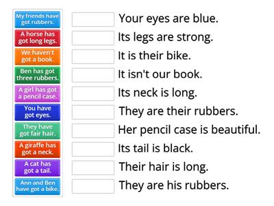 Have got, possessive pronouns