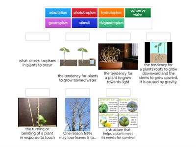 Plant Protection and Response to Environment
