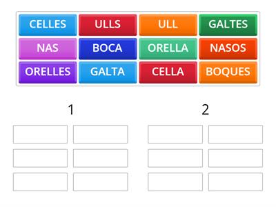 SINGULAR O PLURAL CARA 