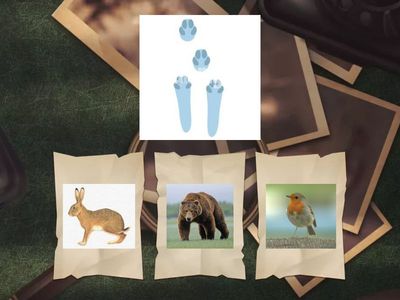 A CHI APPARTIENE L'IMPRONTA?