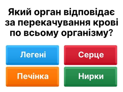 Анатомія людини