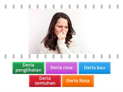 Sains Tahun 1  kemahiran proses sains