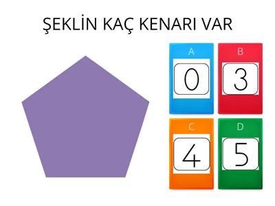 geometrik şekil