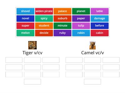 Tiger Camel Sort