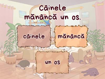 COMPLEMENTUL DIRECT