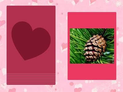 Постановка звука "ш"