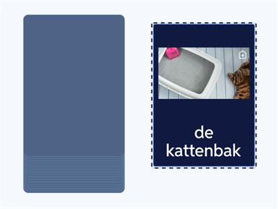 NT2 woordenschat | dieren | huisdieren