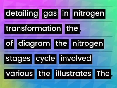 IELTS Writing Describing processes NItrogen Cycle Unjumble 