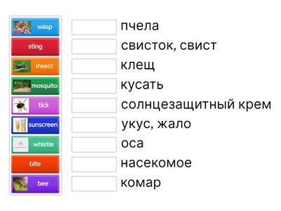 Form 5 U7L3 Demchenko