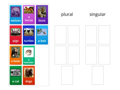 plural or singular