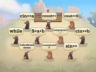 Instrucțiuni în C++