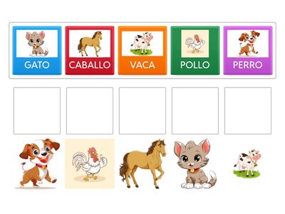 OBSERVACION DE LOS ANIMALES UNE CON LA PAREJA CORRESPONDIENTE