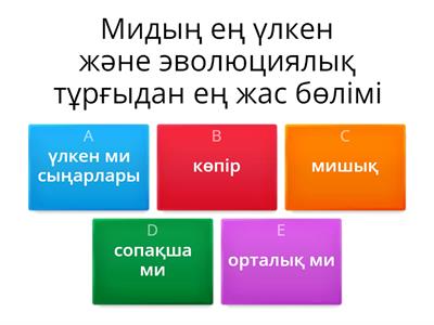 Киіммен сүйіспеншілік пен секс, содан кейін жоқ