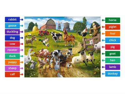 TopY3 Label Farm Animals 