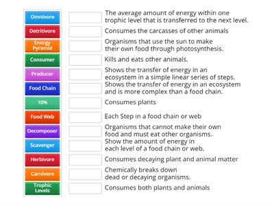 Consumers and the Flow of Energy Through Ecosystems