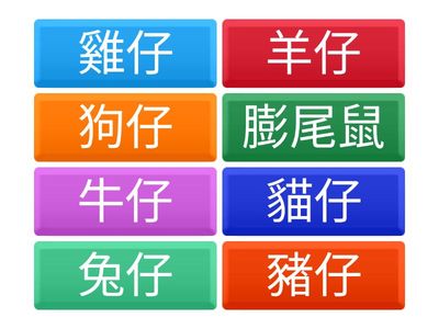 康軒版國小一年級L3（第1冊）〈白兔仔〉詞彙