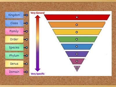 Classification 