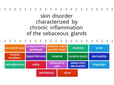 Cosmetology Chapter 8 - Vocab 2