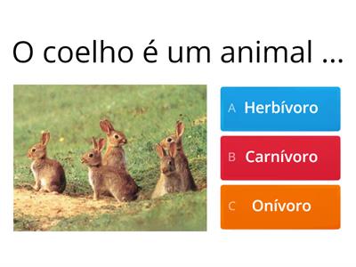 Animais/ alimentação