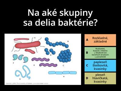 Biologia - 6.roč. / obydlia - parazity