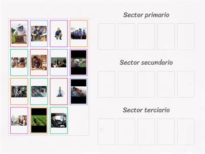 Sectores económicos