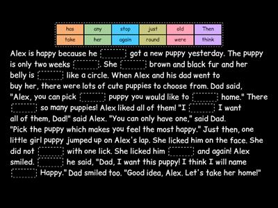 Sight Words Cloze 2