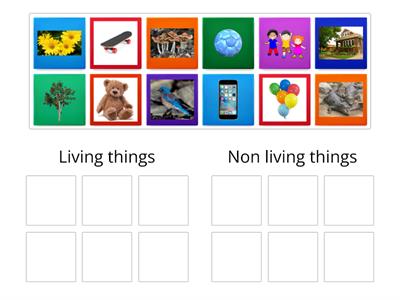 Living things & Non living things
