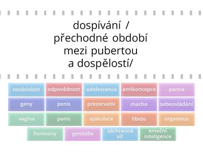 Puberta a adolescence - slovníček pojmů pro adolescenta