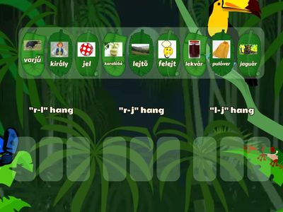 r-l/r-j/l-j differenciálás 