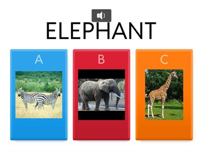 Wild Animals 2º PRIMARY OXFORD