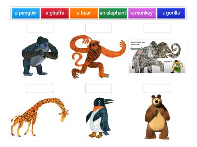 From Head To Toe by Eric Carle