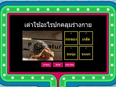 สัตว์ใช้อะไรปกคลุมร่างกาย