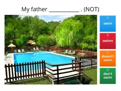 Simple Present Negative and Questions