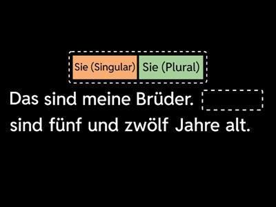 Er / Sie (Singular) / Sie (Plural)