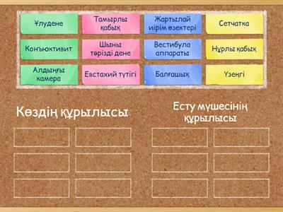 Цыган порно фильмін қараңыз