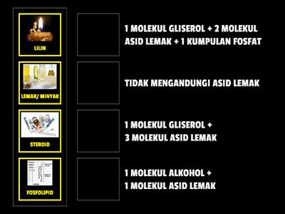 JENIS-JENIS LIPID