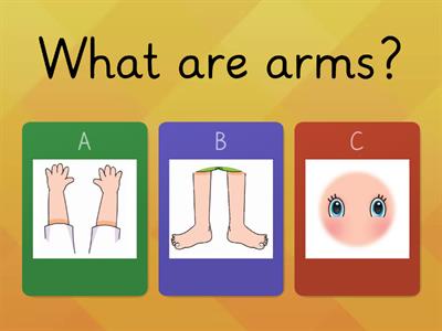 Choose - Parts of the face and body