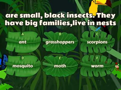 BUg Quiz HFI unit 2