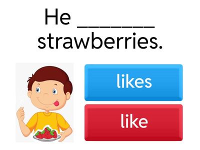 He/she likes/doesn't like