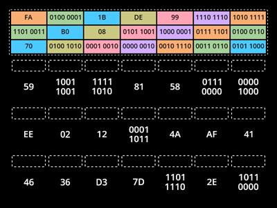 Binary & Hexadecimal