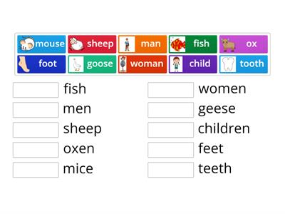 Irregular plurals with pictures