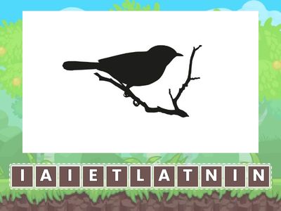 Mikä lintu kirjaimista muodostuu? (7)